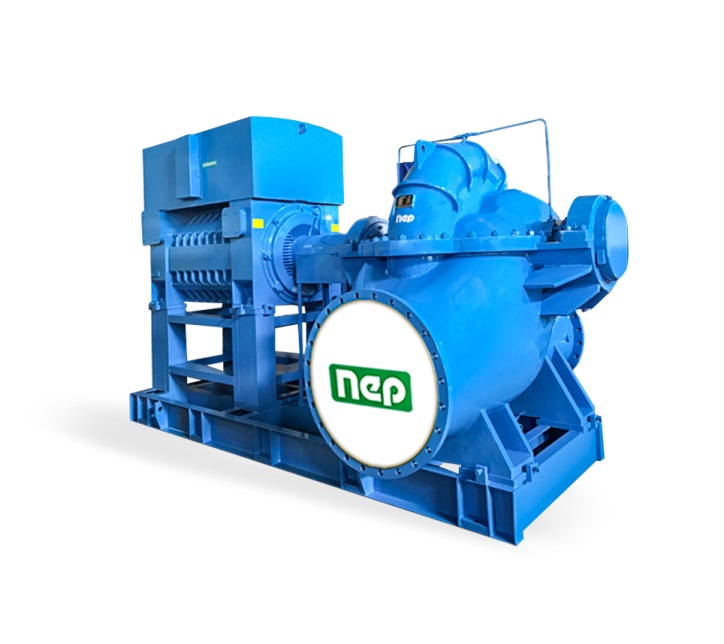 Neptune Horizontal Split Case Pump